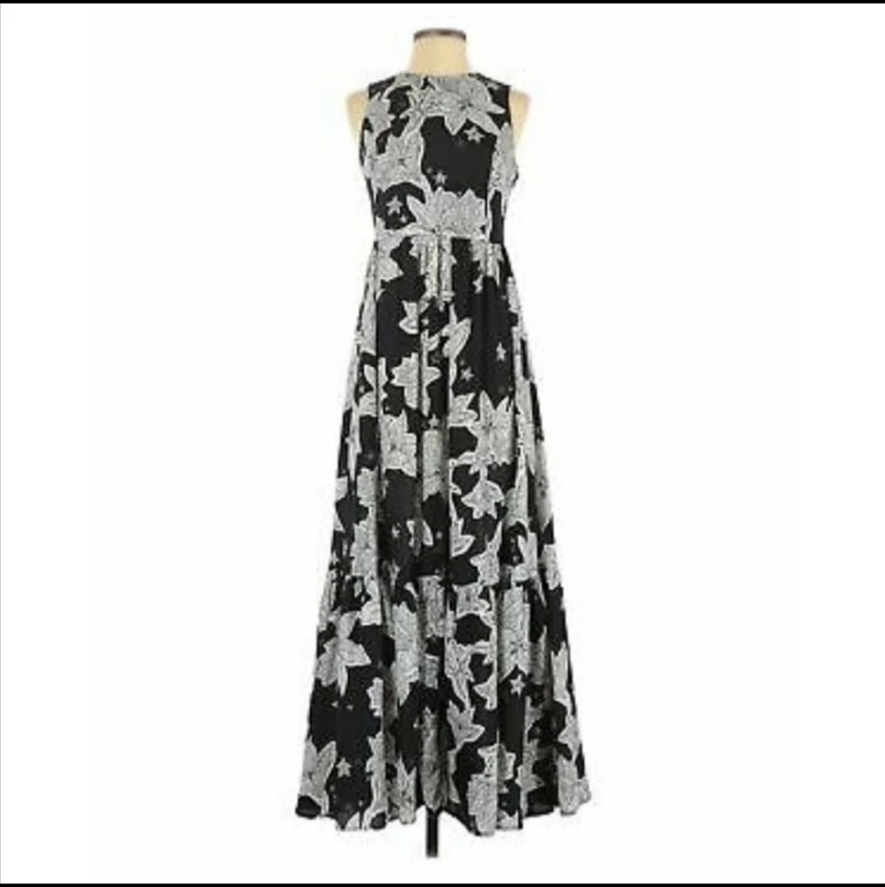 CeCe Floral Stars Maxi Dress